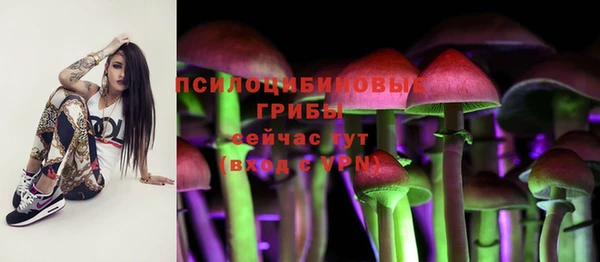 дурь Абдулино
